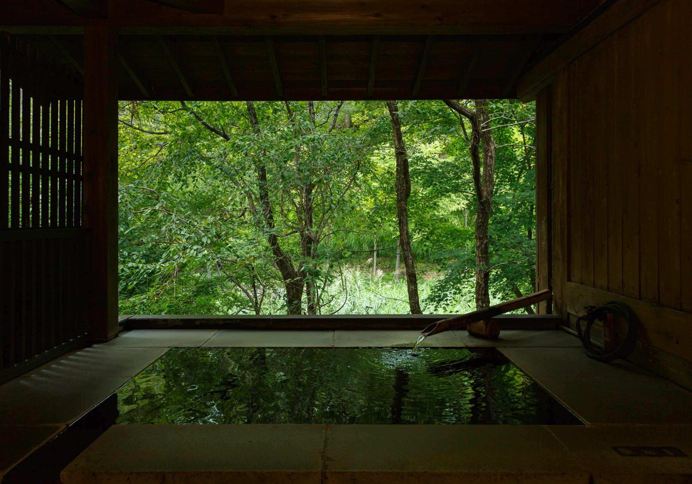 HOT SPRING
